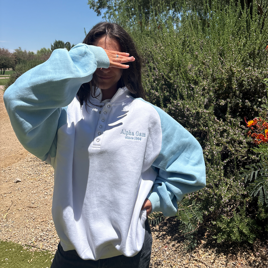 Alpha Gamma Delta | Two Toned Quarter Button-Up Pullover